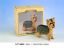 Picture of Yorkshire Terrier Ornament - Cute Decoration